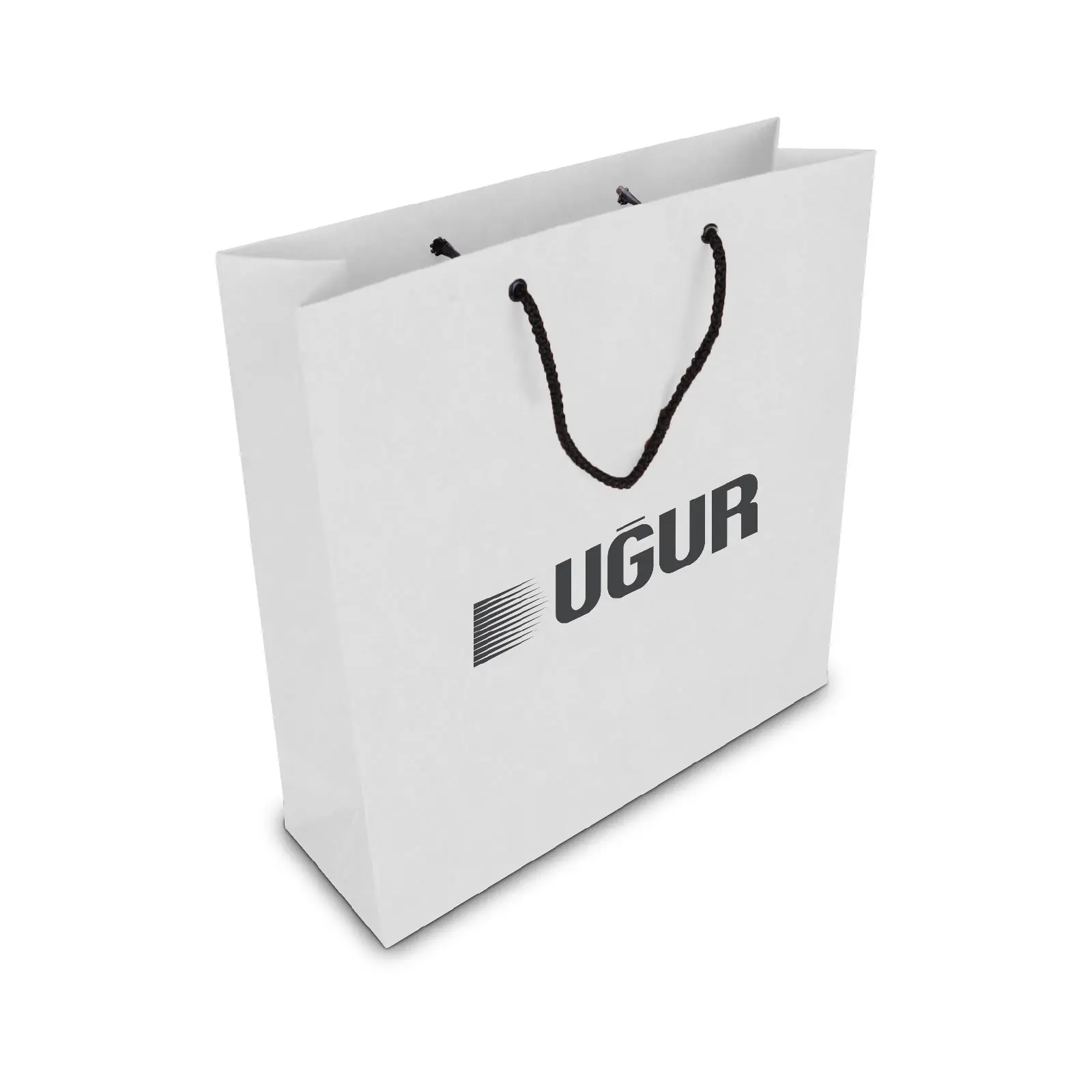 ALA-56 KÜÇÜK BOY KARTON ÇANTA(24x25.5x8,5 cm)