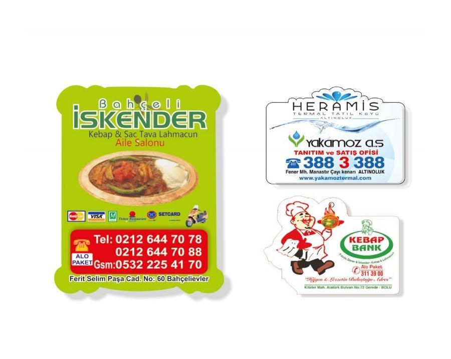 STANDART MAGNET